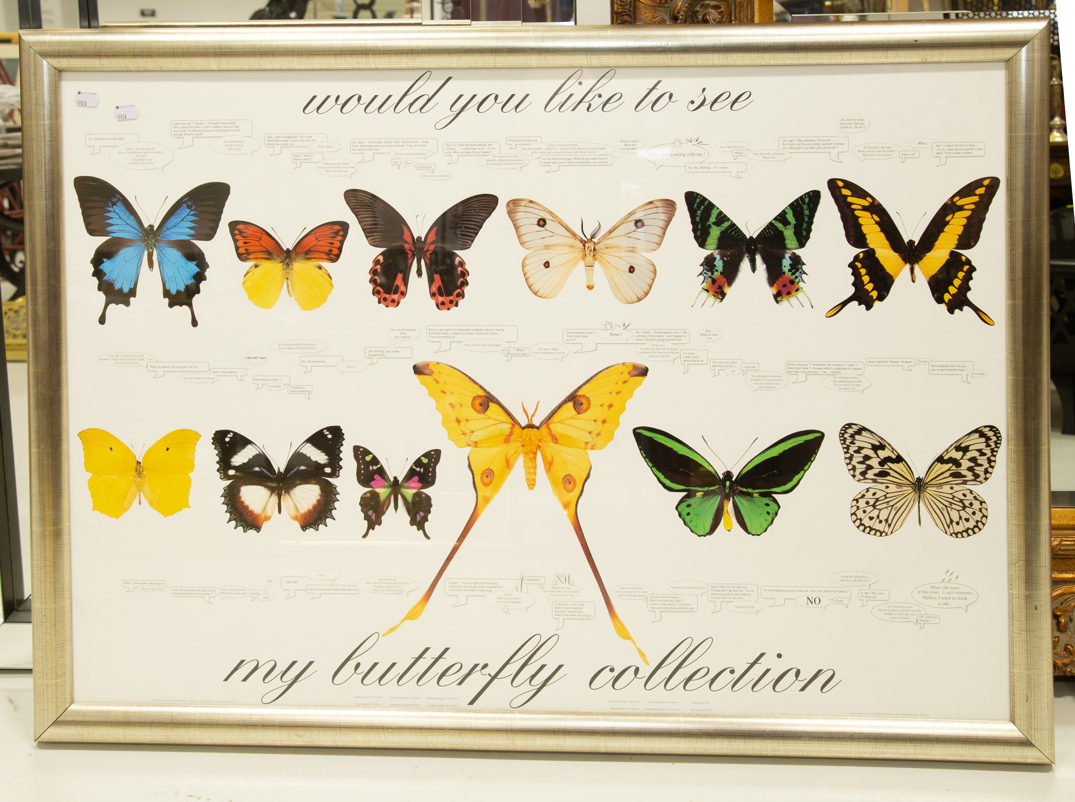 Appraisal: LARGE FRAMED BUTTERFLY PRINT