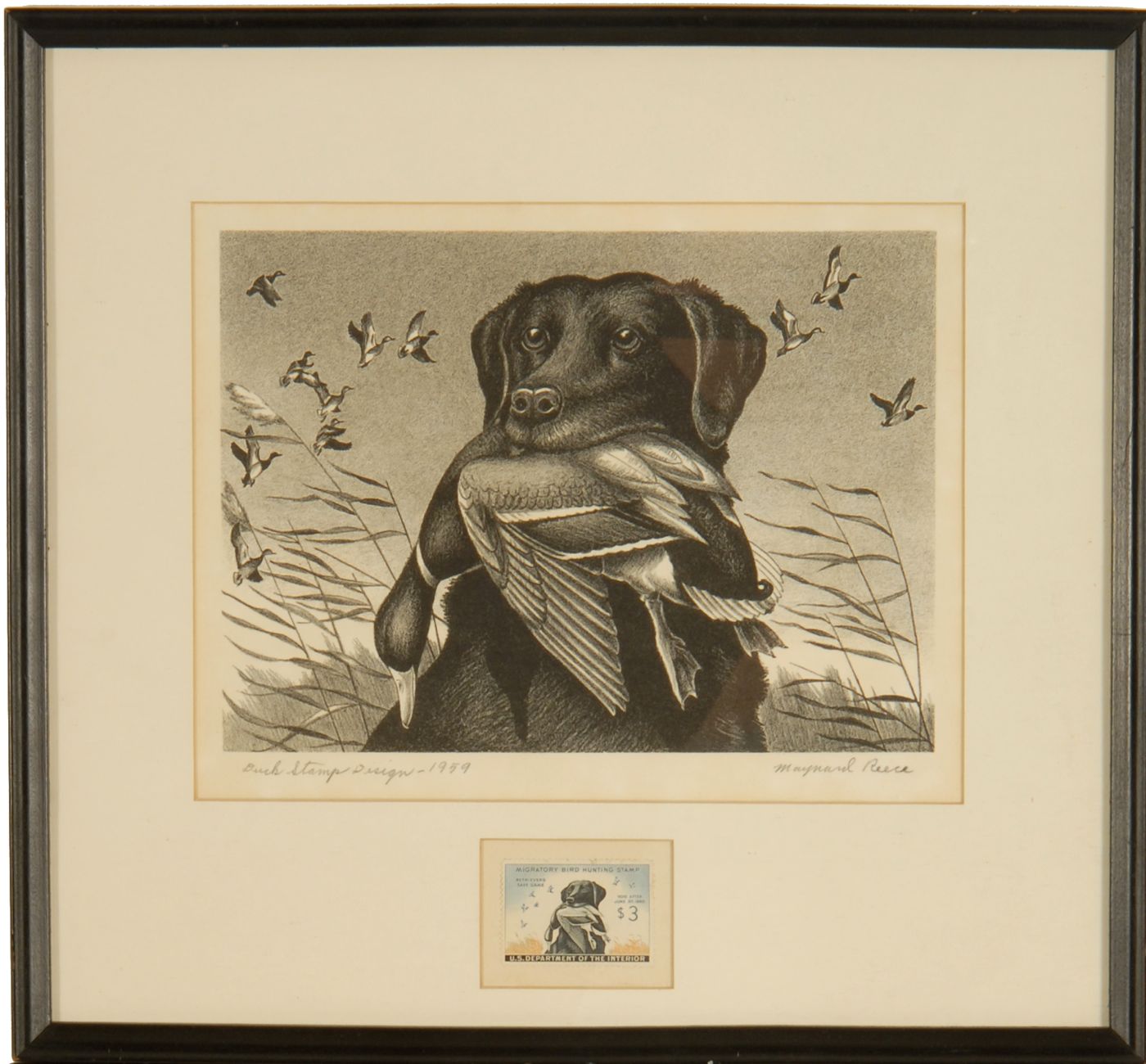 Appraisal: FRAMED FEDERAL DUCK STAMP AND PRINT King Buck by Maynard