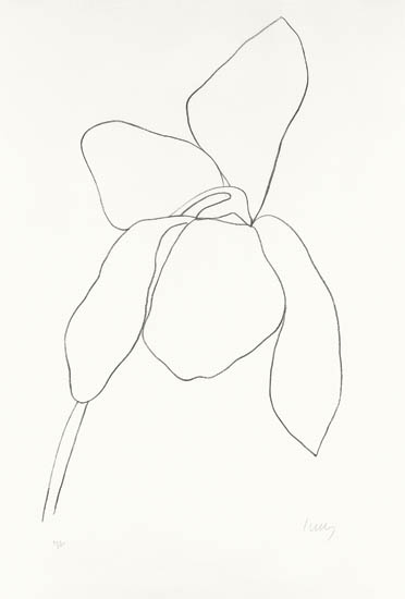 Appraisal: ELLSWORTH KELLY Cyclamen I Lithograph on Rives BFK paper -