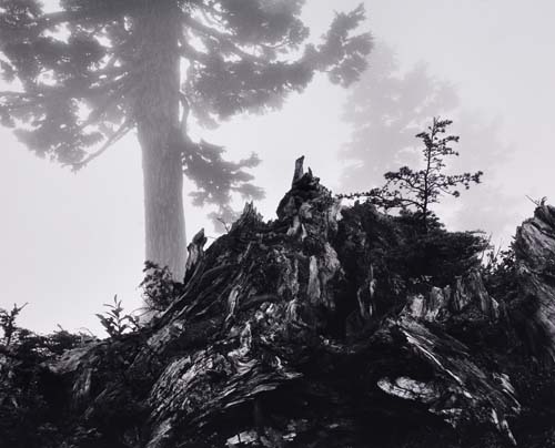 Appraisal: ADAMS ANSEL - Tree Stump Mist Cascade Pass Washington Silver