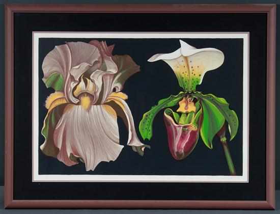 Appraisal: Lowell Nesbitt American b Venus Fly Trap and Iris color