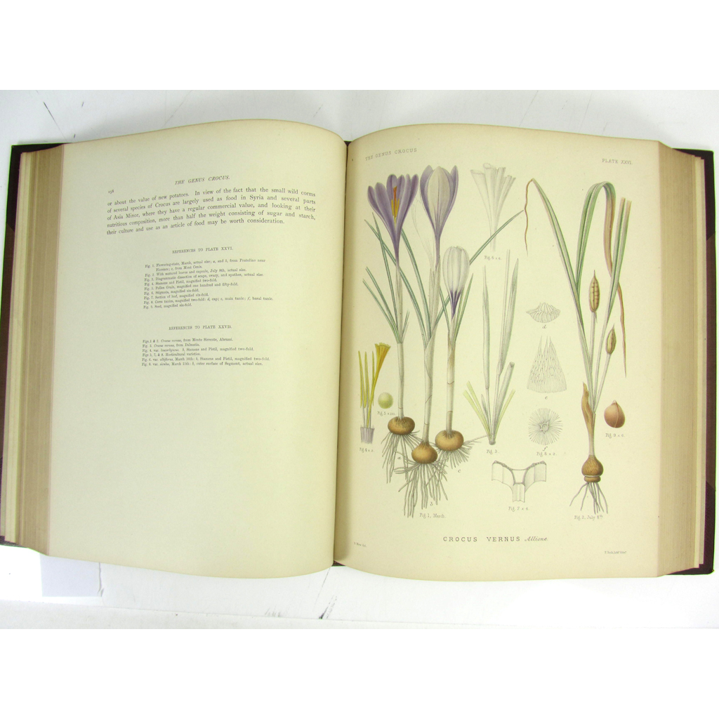 Appraisal: Maw George A Monograph of the Genus Crocus London Dulau