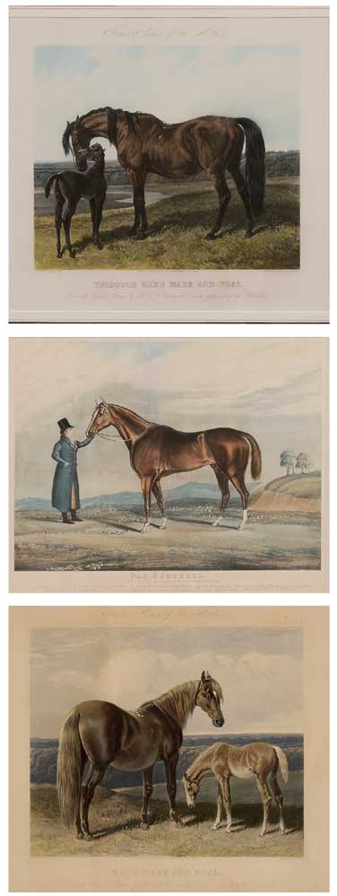 Appraisal: British School th century Three horse-related prints Thorough Bred Mare