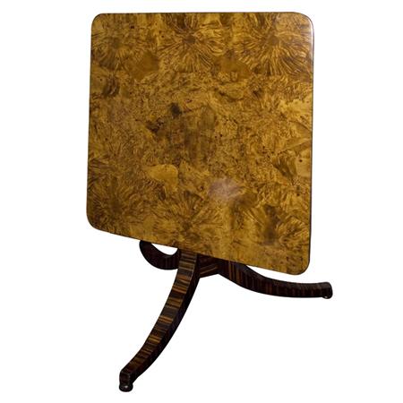 Appraisal: Continental Neoclassical Style Calamander and Birch Tilt-Top Table Estimate -