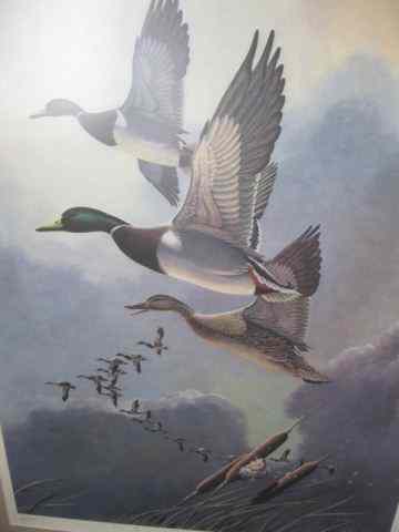 Appraisal: Larry Toschik Lithograph mallards in flight of image area ''