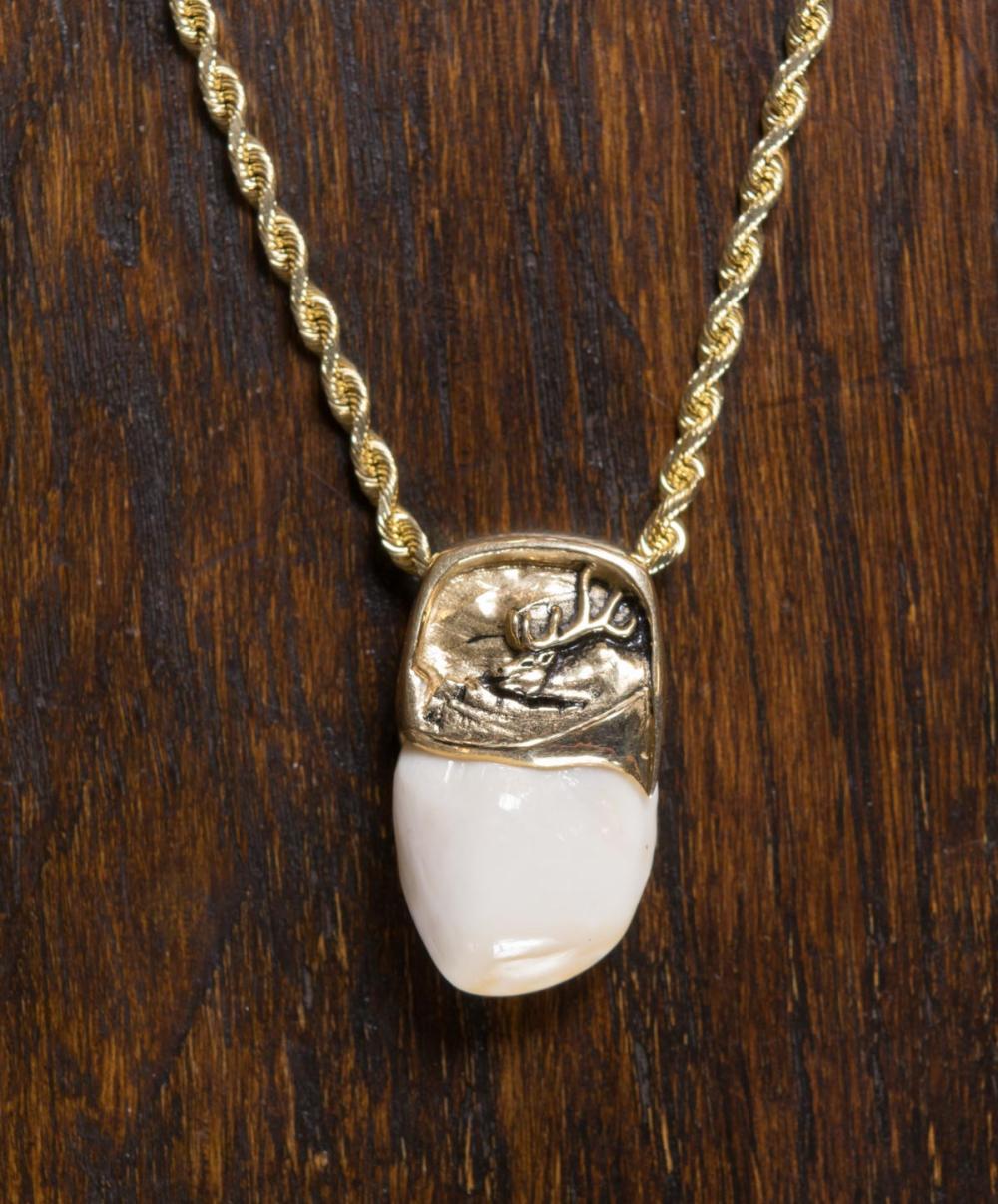 Appraisal: ELK'S TOOTH AND FOURTEEN KARAT GOLD PENDANT NECKLACE with a