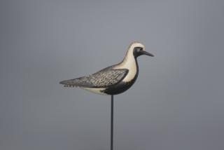 Appraisal: Black Bellied Plover William C Gibian b Black Bellied Plover