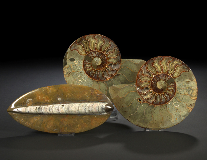 Appraisal: Two Pieces of Split Fossilized Ammonite Shell Cretaceous Period to