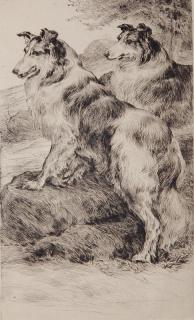 Appraisal: Edmund Osthaus etching Edmund Osthaus American - - ''Collies''- etching