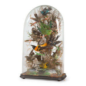 Appraisal: A Victorian Bird Taxidermy Diorama having twelve birds Height inches