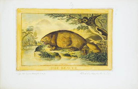 Appraisal: CATTON Charles - Animals Drawn from Nature and Engraved in