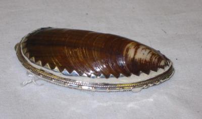 Appraisal: A MUSSEL SHELL SNUFF BOX the polished shell with beaded