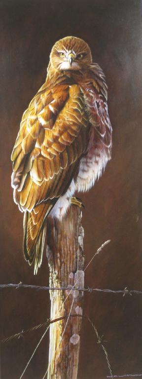 Appraisal: W A WESTWOOD A Sparrow Hawk signed oil on board