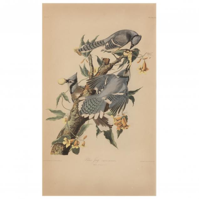 Appraisal: AFTER JOHN JAMES AUDUBON AMERICAN BLUE JAY BIEN EDITION Chromolithograph