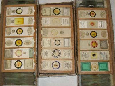 Appraisal: A COLLECTION OF MICROSCOPE SPECIMEN SLIDES by various makers including