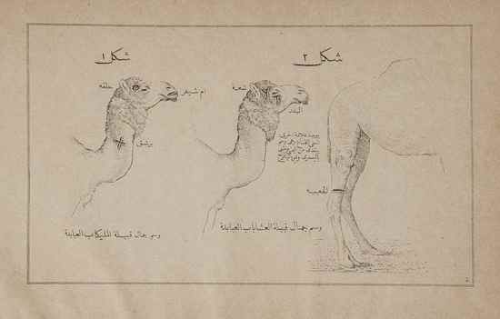 Appraisal: Tourath Heritage - Fathallah Sheikh Hamza Hadayat Al Fahm ila