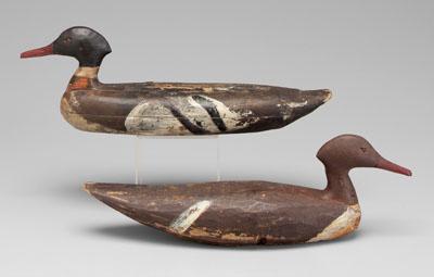 Appraisal: Pair Maine duck decoys hooded mergansers elongated bodies and let-in