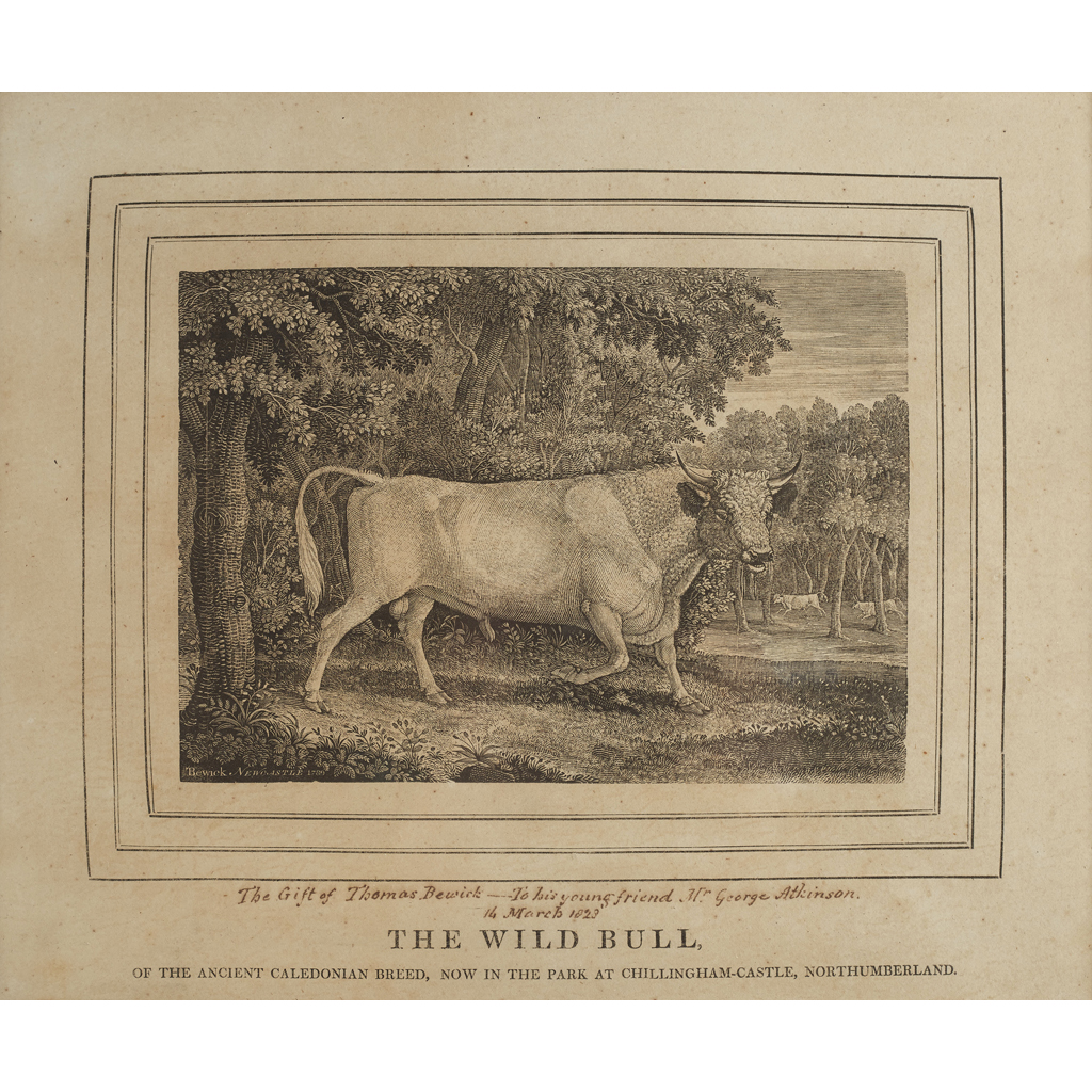 Appraisal: Bewick Thomas The Wild Bull At Chillingham-Castle Northumberland Newcastle Wood-engraving