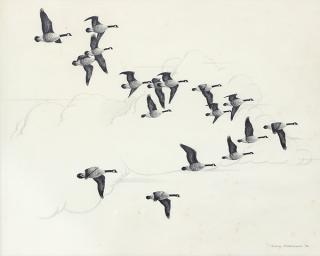 Appraisal: Drawing Harry Adamson Harry Adamson American - Geese in Flight