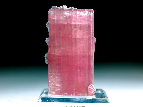 Appraisal: DEEP PINK ELBAITE TOURMALINE on Custom Base Mawi Nuristan Laghman