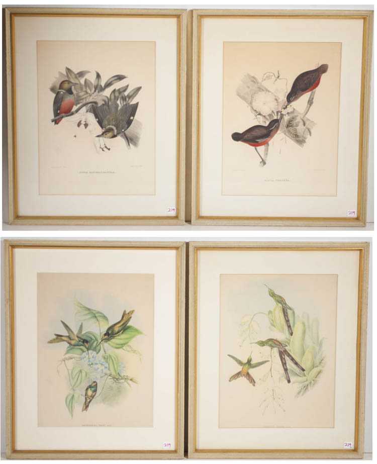 Appraisal: FOUR ORNITHOLOGICAL PRINTS two prints after D G Elliot and