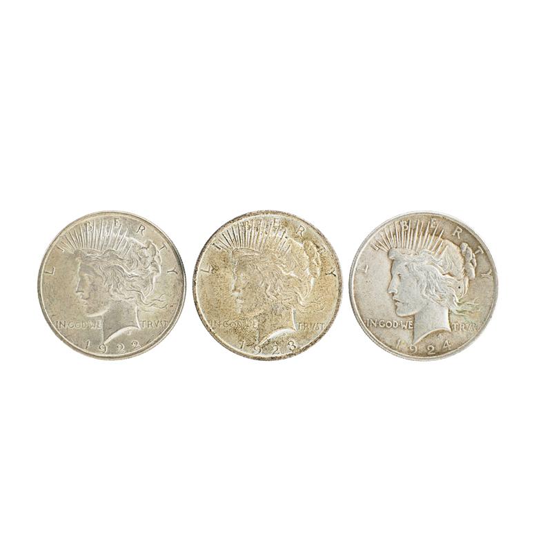 Appraisal: U S PEACE COINS Condition Report