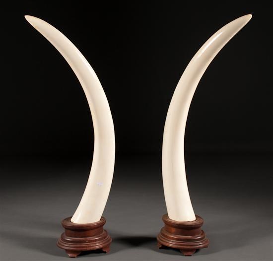 Appraisal: Pair of African elephant ivory tusks mounted on carved walnut