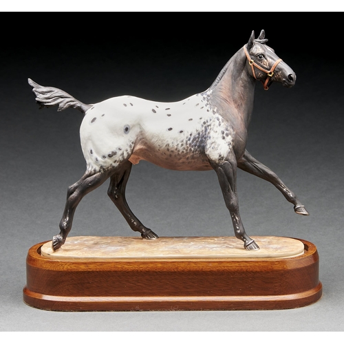 Appraisal: A Royal Worcester equestrian model of an Appaloosa Stallion designed