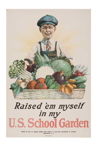 Appraisal: ANONYMOUS RAISED 'EM MYSELF IN MY U S SCHOOL GARDEN