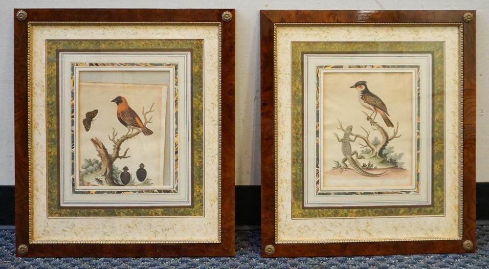 Appraisal: Two Bird Prints Framed x in x cm Sight size