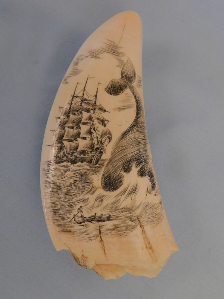 Appraisal: SCRIMSHAW WHALE TOOTH - WHALE ATTACK Scrimshaw whale tooth with