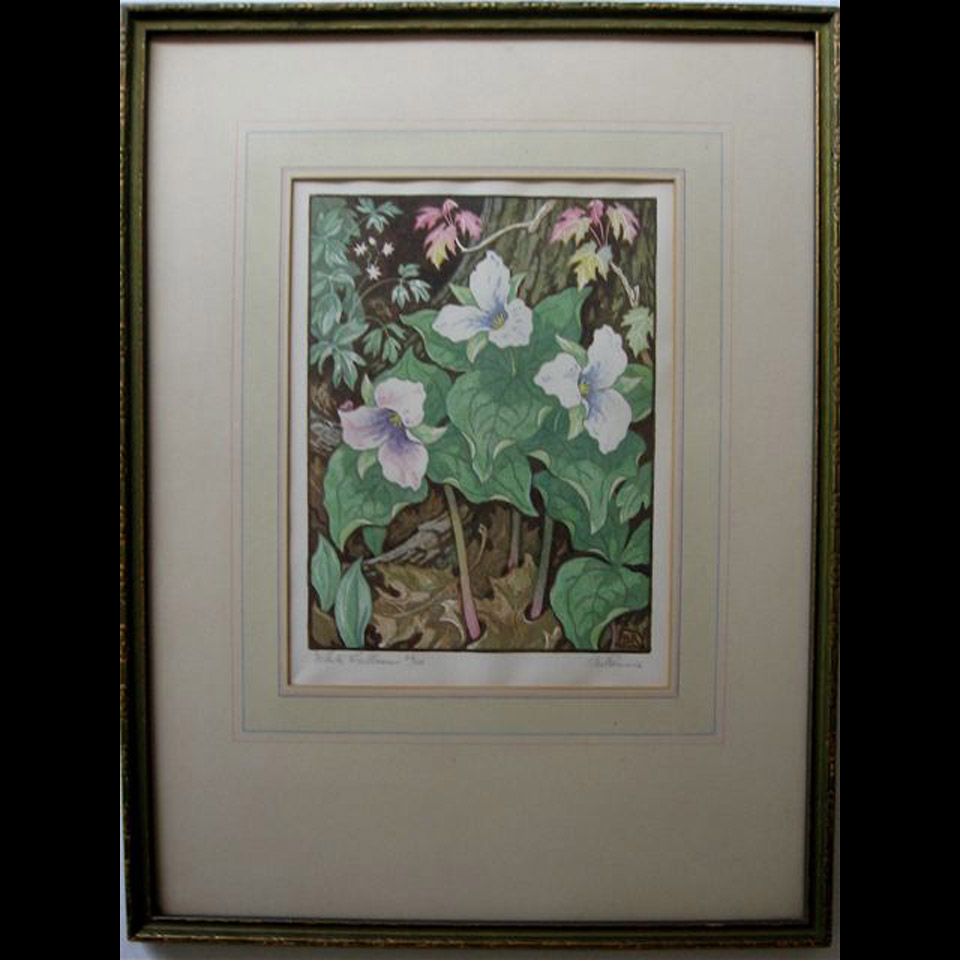 Appraisal: WHITE TRILLIUMS JOHN BARRIE RENNIE TH CENTURY CANADIAN COLOUR BLOCKPRINT