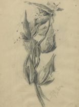 Appraisal: Francis Lewis Mora American - Milkweed Pencil on paper framed