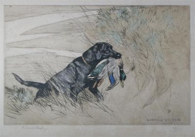 Appraisal: George Vernon Stokes - Duck capercaille and a retriever Four