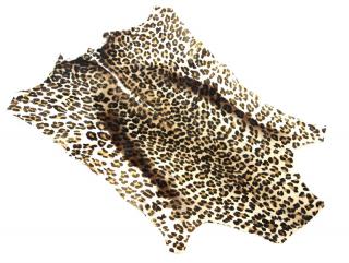 Appraisal: VINTAGE CHEETAH SKIN RUG Vintage Cheetah skin rug Skin appears