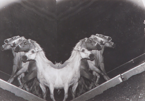 Appraisal: Weegee Arthur Fellig Austrian-American - Wild Horses c silver gelatin