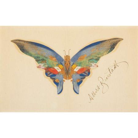 Appraisal: Albert Bierstadt American - Butterfly Estimate -