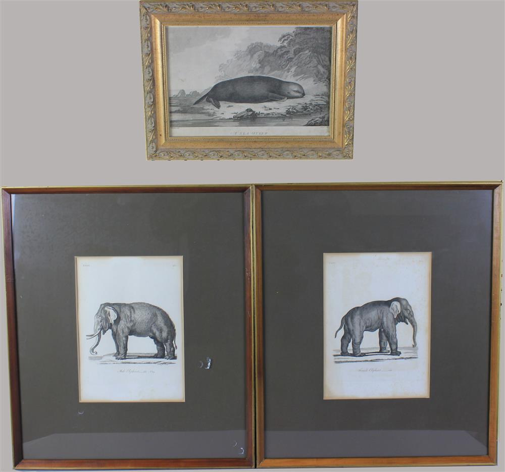 Appraisal: THREE PRINTS A PAIR OF ELEPHANTS AND A SEA OTTER