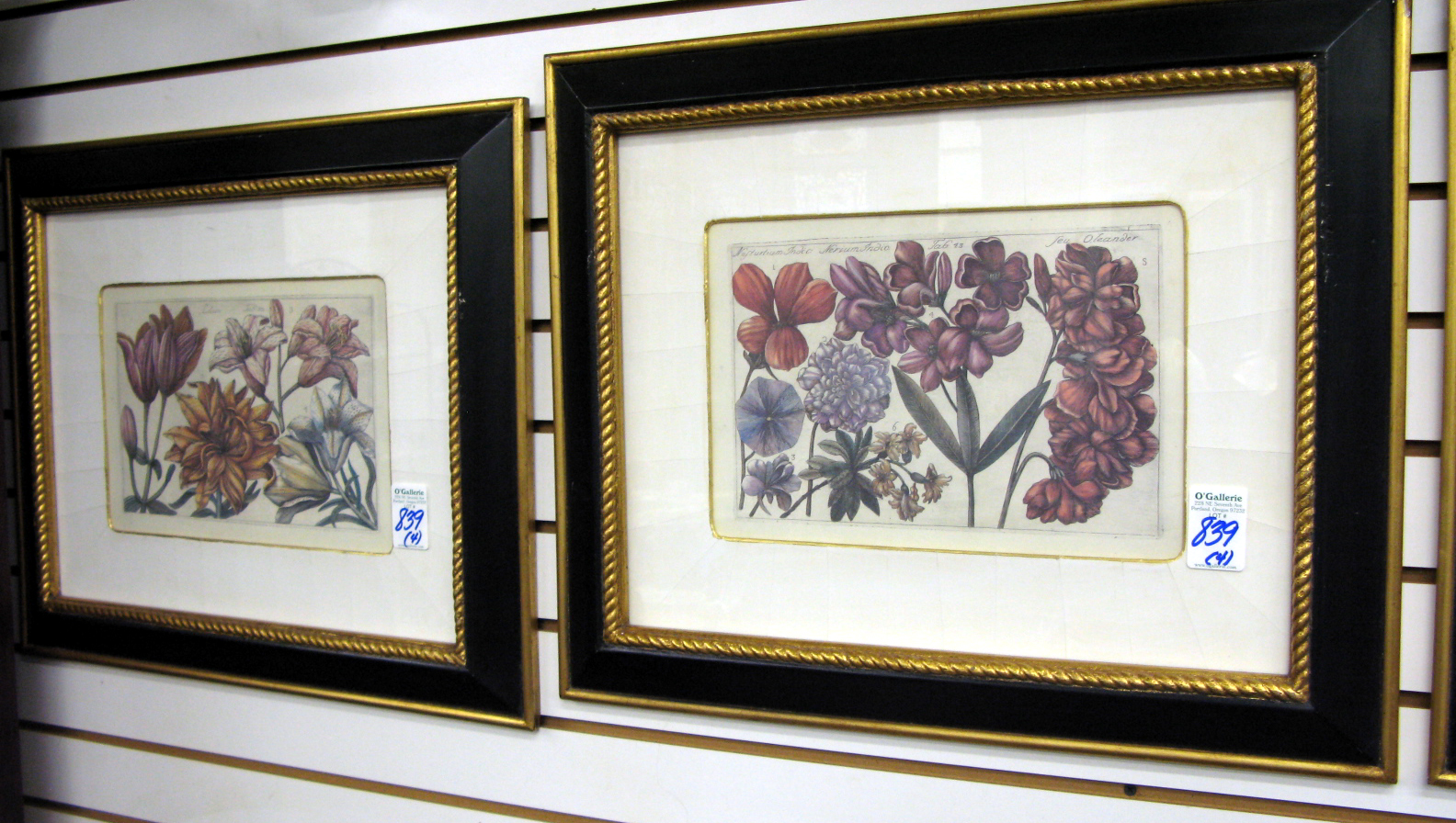 Appraisal: FOUR BOTANICAL COLOR PRINTS reprinted from an early Italian Garden