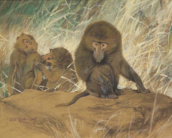 Appraisal: Wilhelm Friedrich Kuhnert German - Three baboons seated on a