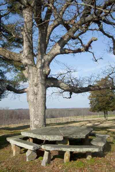 Appraisal: Native North Carolina Stone Table and Benchesmassive two part stone