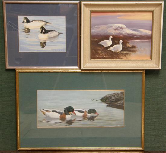 Appraisal: R Weatherly watercolour two ducks signed x Delfia Scott watercolour