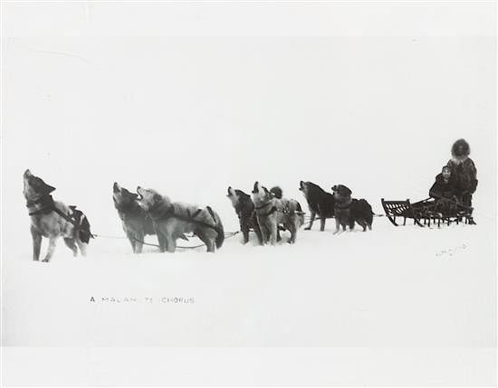 Appraisal: Eight Photographs of Alaskan Dog Sledding Each x inches Eight