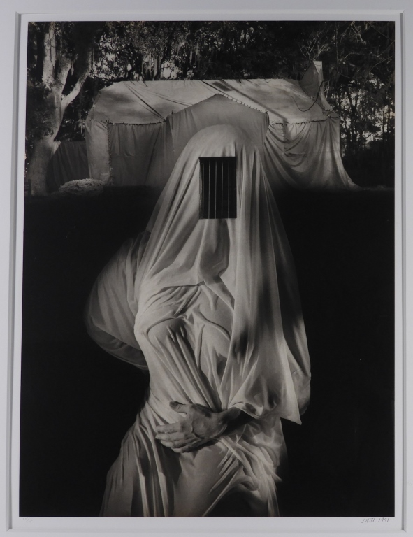 Appraisal: JERRY UELSMANN VIRGIN APPARITION PLATINUM PHOTO Michigan b Virgin Apparition