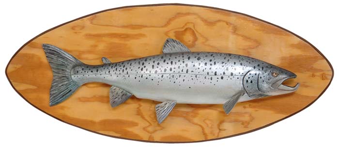 Appraisal: CARVED AND PAINTED TROPHY LANDLOCK SALMON BY LAWRENCE IRVINE Finely