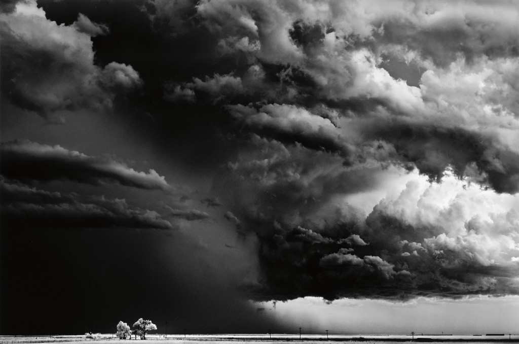 Appraisal: DOBROWNER MITCH - Trees--Clouds Texline Texas from the Storm series