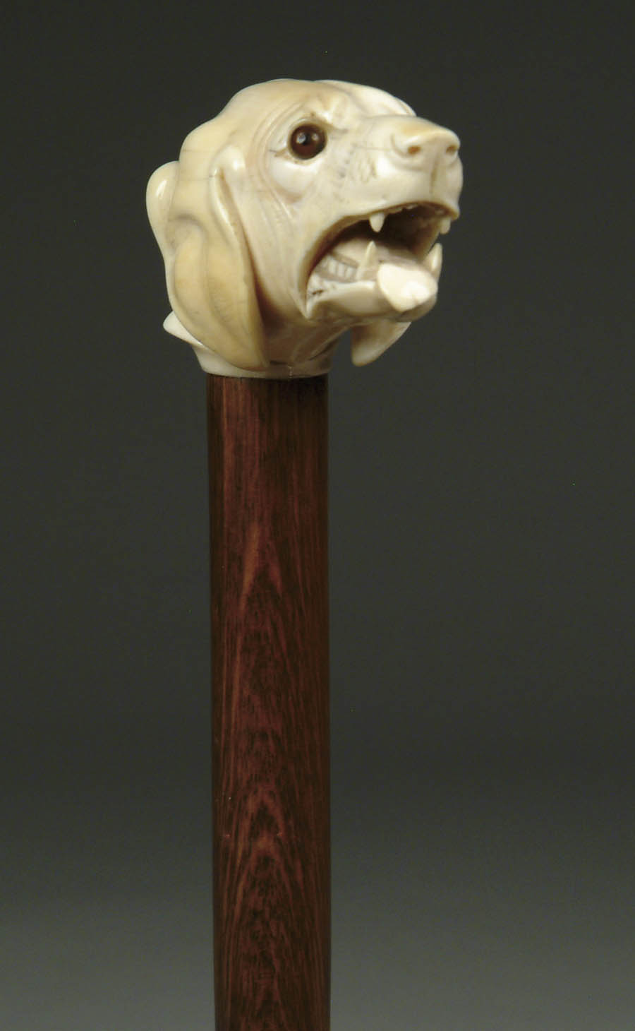 Appraisal: FINE CARVED IVORY DOG CANE Retriever type dog head has