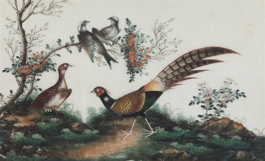 Appraisal: SET OF SIX RICE PAPER PAINTINGS OF BIRDS QING DYNASTY