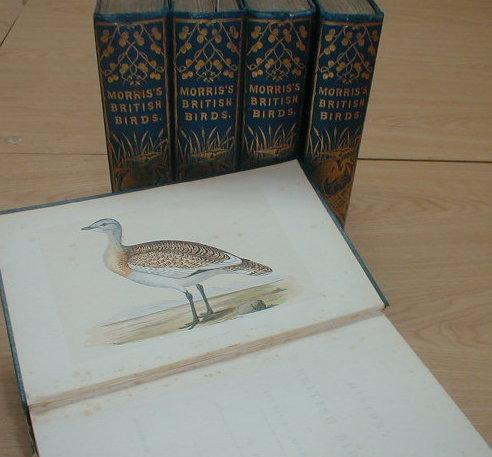 Appraisal: Morris's British Birds in six volumes published Groombridge and Sons