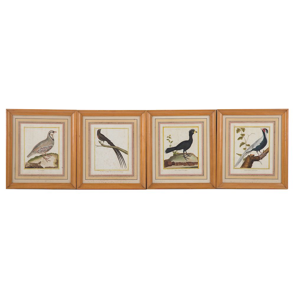 Appraisal: Francois Nicolas Martinet Four Ornithologicals French - Four ornithological hand